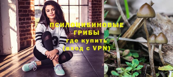 круглые Заводоуковск