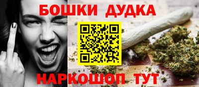 СК Дубна