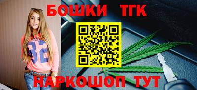 шишки Заволжье