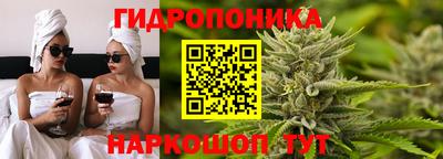 шишки Заволжье
