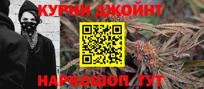 шишки Заволжье