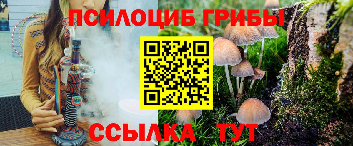 Псилоцибиновые грибы Psilocybine cubensis Железноводск