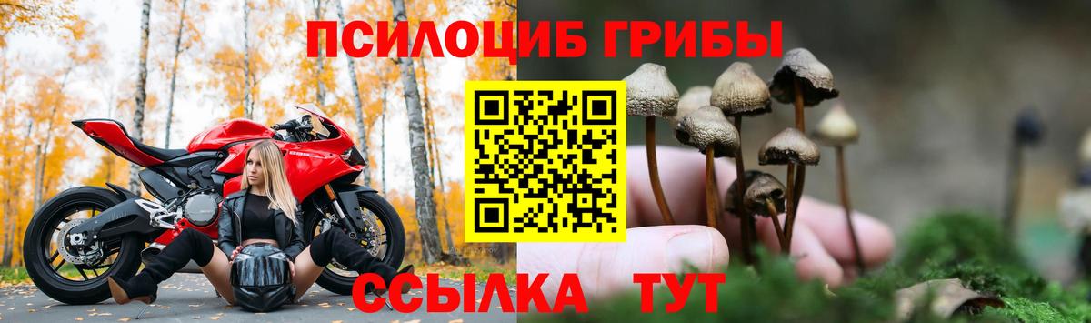 Железноводск  Каннабис  Cocaine  НБОМе  Меф   Вход с VPN  МЕТАМФЕТАМИН 